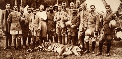 El primer tigre del Rey Eduardo VIII, 1921 de English Photographer